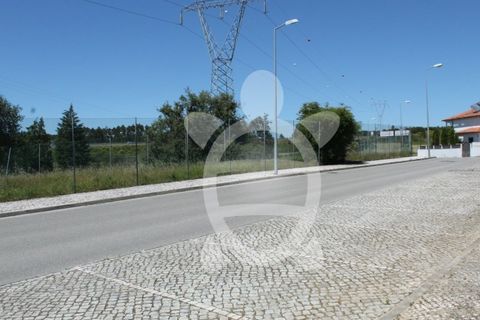 Terra a Condeixa-a-Nova, Coimbra, Condeixa-a-Nova - € 180.000 | Ref: cdx0298 - foto 12