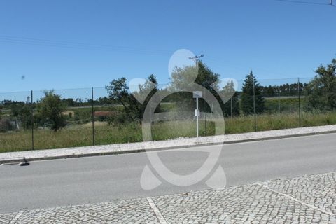Terra a Condeixa-a-Nova, Coimbra, Condeixa-a-Nova - € 180.000 | Ref: cdx0298 - foto 13