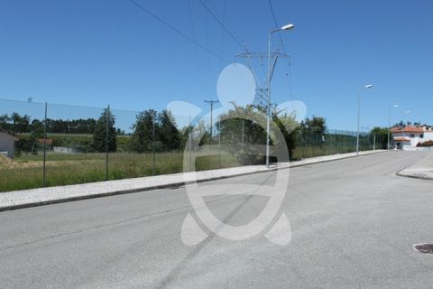 Terra a Condeixa-a-Nova, Coimbra, Condeixa-a-Nova - € 180.000 | Ref: cdx0298 - foto 15