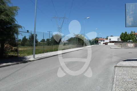 Terra a Condeixa-a-Nova, Coimbra, Condeixa-a-Nova - € 180.000 | Ref: cdx0298 - foto 16
