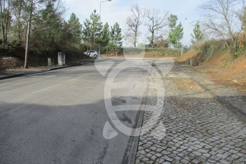 Terra a Condeixa-a-Nova, Coimbra, Condeixa-a-Nova - € 85.000 | Ref: cdx0297 - foto 8