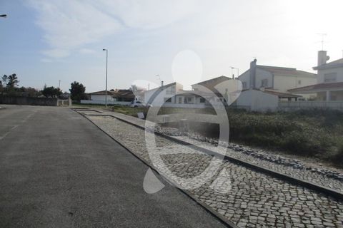 Terra a Condeixa-a-Nova, Coimbra, Condeixa-a-Nova - € 85.000 | Ref: cdx0297 - foto 11