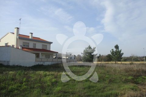 Terra a Condeixa-a-Nova, Coimbra, Condeixa-a-Nova - € 85.000 | Ref: cdx0297 - foto 13