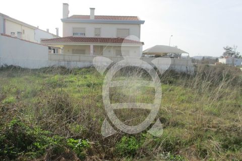 Terra a Condeixa-a-Nova, Coimbra, Condeixa-a-Nova - € 85.000 | Ref: cdx0297 - foto 12