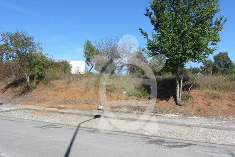 Terra a Condeixa-a-Nova, Coimbra, Condeixa-a-Nova - € 85.000 | Ref: cdx0297 - foto 14
