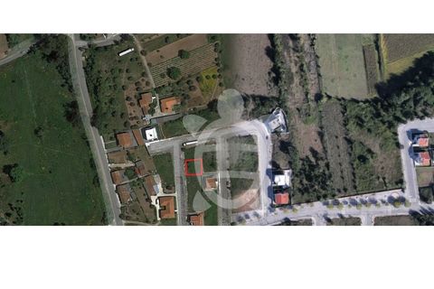 Terra a Condeixa-a-Nova, Coimbra, Condeixa-a-Nova - € 85.000 | Ref: cdx0297 - foto 15
