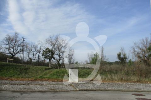 Helårsgrund i Condeixa-a-Nova, Coimbra, Condeixa-a-Nova - € 135.000 | Ref: cdx0296 - foto 3