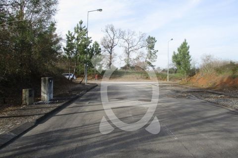 Helårsgrund i Condeixa-a-Nova, Coimbra, Condeixa-a-Nova - € 135.000 | Ref: cdx0296 - foto 5
