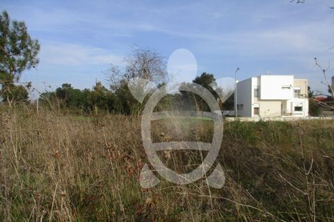 Helårsgrund i Condeixa-a-Nova, Coimbra, Condeixa-a-Nova - € 135.000 | Ref: cdx0296 - foto 6