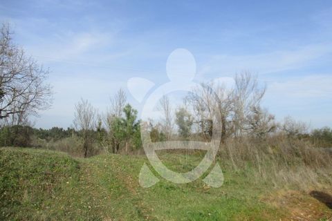 Helårsgrund i Condeixa-a-Nova, Coimbra, Condeixa-a-Nova - € 135.000 | Ref: cdx0296 - foto 7