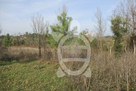 Helårsgrund i Condeixa-a-Nova, Coimbra, Condeixa-a-Nova - € 135.000 | Ref: cdx0296 - foto 11