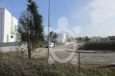 Helårsgrund i Condeixa-a-Nova, Coimbra, Condeixa-a-Nova - € 135.000 | Ref: cdx0296 - foto 12