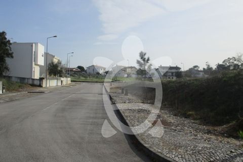 Helårsgrund i Condeixa-a-Nova, Coimbra, Condeixa-a-Nova - € 135.000 | Ref: cdx0296 - foto 14