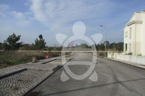 Helårsgrund i Condeixa-a-Nova, Coimbra, Condeixa-a-Nova - € 135.000 | Ref: cdx0296 - foto 13