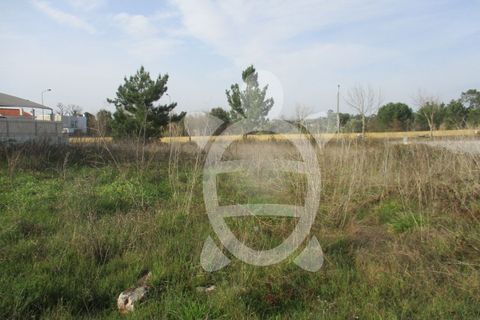 Helårsgrund i Condeixa-a-Nova, Coimbra, Condeixa-a-Nova - € 135.000 | Ref: cdx0296 - foto 15