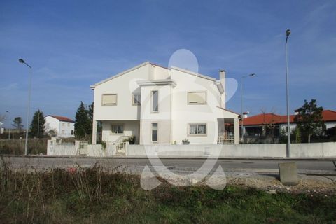 Helårsgrund i Condeixa-a-Nova, Coimbra, Condeixa-a-Nova - € 135.000 | Ref: cdx0296 - foto 16