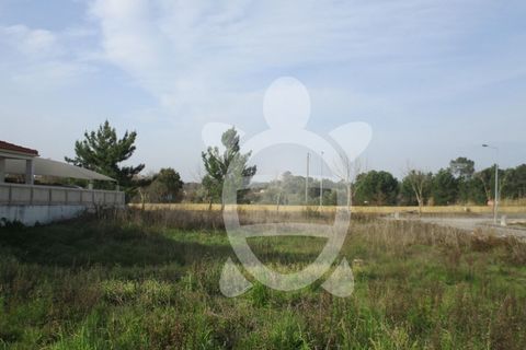 Helårsgrund i Condeixa-a-Nova, Coimbra, Condeixa-a-Nova - € 135.000 | Ref: cdx0296 - foto 20