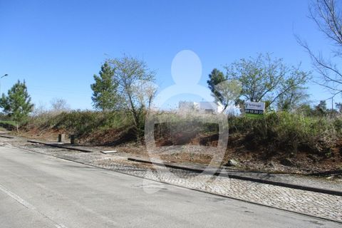 Helårsgrund i Condeixa-a-Nova, Coimbra, Condeixa-a-Nova - € 135.000 | Ref: cdx0296 - foto 21