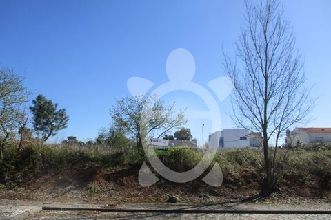 Helårsgrund i Condeixa-a-Nova, Coimbra, Condeixa-a-Nova - € 135.000 | Ref: cdx0296 - foto 22