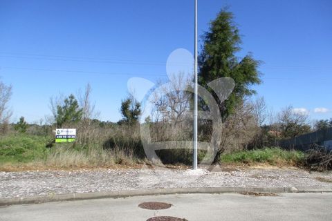Helårsgrund i Condeixa-a-Nova, Coimbra, Condeixa-a-Nova - € 135.000 | Ref: cdx0296 - foto 24