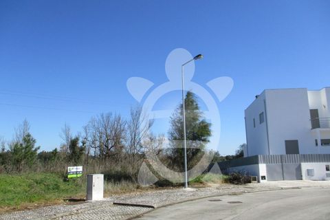 Helårsgrund i Condeixa-a-Nova, Coimbra, Condeixa-a-Nova - € 135.000 | Ref: cdx0296 - foto 25