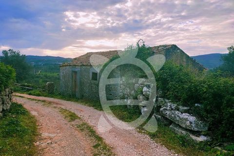 Villa a Penela, Coimbra, Penela - € 48.500 | Ref: cdx0314 - foto 5