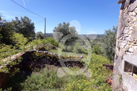 Villa a Penela, Coimbra, Penela - € 48.500 | Ref: cdx0314 - foto 4