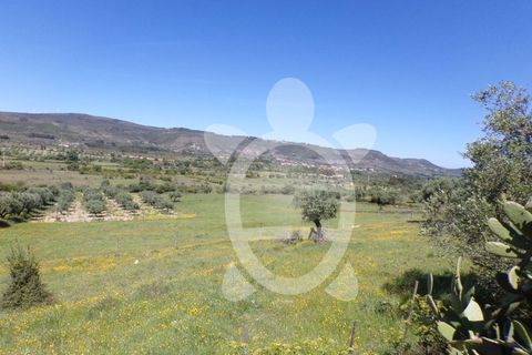 Villa a Penela, Coimbra, Penela - € 48.500 | Ref: cdx0314 - foto 8