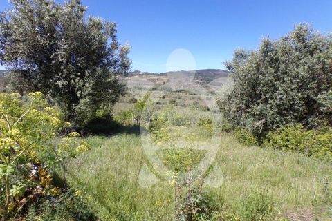Villa a Penela, Coimbra, Penela - € 48.500 | Ref: cdx0314 - foto 9