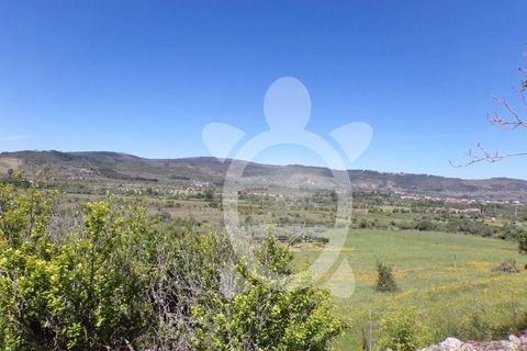 Villa a Penela, Coimbra, Penela - € 48.500 | Ref: cdx0314 - foto 14
