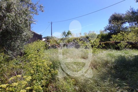 Villa a Penela, Coimbra, Penela - € 48.500 | Ref: cdx0314 - foto 15