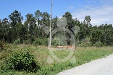 Terra a Vilamar e Corticeiro de Cima, Coimbra, Vilamar e Corticeiro de Cima - € 120.000 | Ref: ff0780 - foto 2
