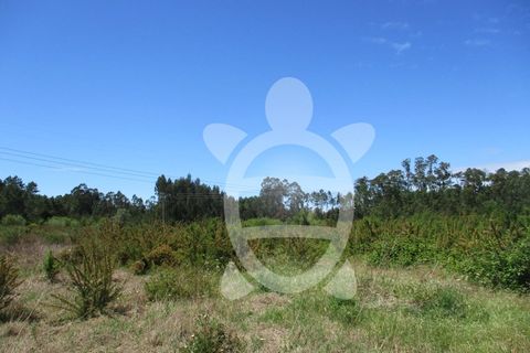 Terra a Vilamar e Corticeiro de Cima, Coimbra, Vilamar e Corticeiro de Cima - € 120.000 | Ref: ff0780 - foto 3