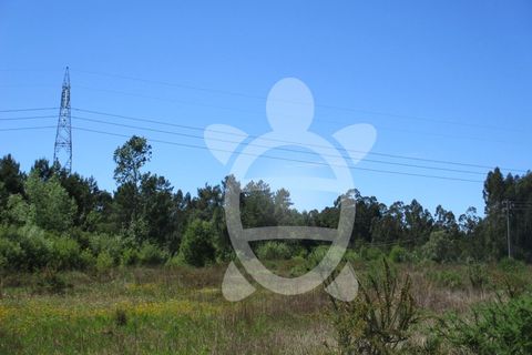 Terra a Vilamar e Corticeiro de Cima, Coimbra, Vilamar e Corticeiro de Cima - € 120.000 | Ref: ff0780 - foto 6