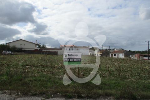 Helårsgrund i Lavos, Coimbra, Lavos - € 119.000 | Ref: ff0874 - foto 2