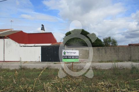 Helårsgrund i Lavos, Coimbra, Lavos - € 119.000 | Ref: ff0874 - foto 3
