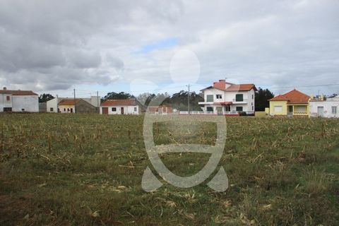 Helårsgrund i Lavos, Coimbra, Lavos - € 119.000 | Ref: ff0874 - foto 4