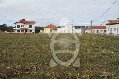 Helårsgrund i Lavos, Coimbra, Lavos - € 119.000 | Ref: ff0874 - foto 5