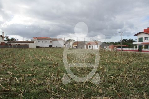Helårsgrund i Lavos, Coimbra, Lavos - € 119.000 | Ref: ff0874 - foto 6