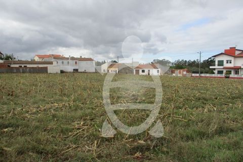 Helårsgrund i Lavos, Coimbra, Lavos - € 119.000 | Ref: ff0874 - foto 7