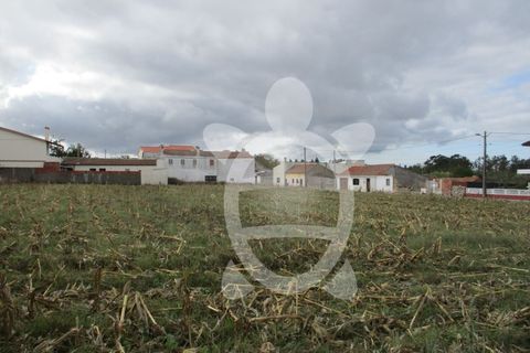 Helårsgrund i Lavos, Coimbra, Lavos - € 119.000 | Ref: ff0874 - foto 8