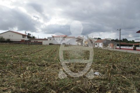 Helårsgrund i Lavos, Coimbra, Lavos - € 119.000 | Ref: ff0874 - foto 10