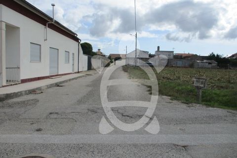 Helårsgrund i Lavos, Coimbra, Lavos - € 119.000 | Ref: ff0874 - foto 11