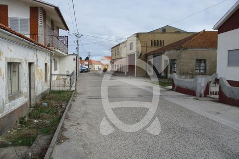 Helårsgrund i Lavos, Coimbra, Lavos - € 119.000 | Ref: ff0874 - foto 14