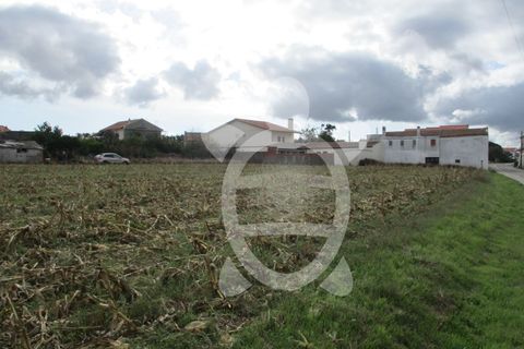 Helårsgrund i Lavos, Coimbra, Lavos - € 119.000 | Ref: ff0874 - foto 15