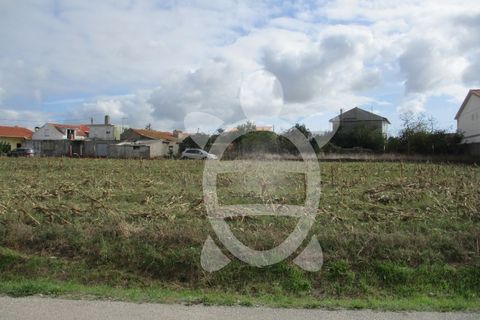 Helårsgrund i Lavos, Coimbra, Lavos - € 119.000 | Ref: ff0874 - foto 16