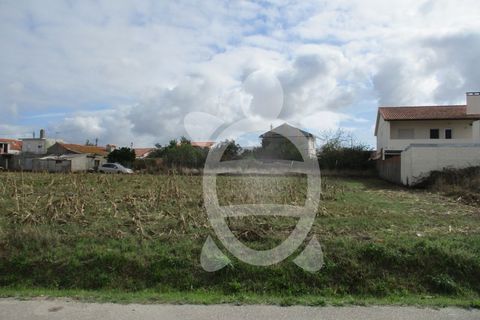 Helårsgrund i Lavos, Coimbra, Lavos - € 119.000 | Ref: ff0874 - foto 17