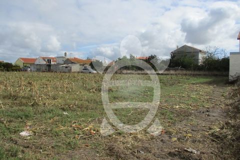 Helårsgrund i Lavos, Coimbra, Lavos - € 119.000 | Ref: ff0874 - foto 18