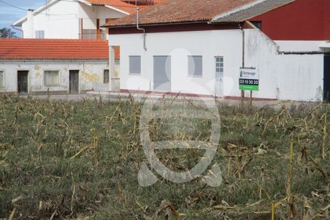 Helårsgrund i Lavos, Coimbra, Lavos - € 119.000 | Ref: ff0874 - foto 19