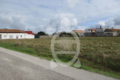 Helårsgrund i Lavos, Coimbra, Lavos - € 119.000 | Ref: ff0874 - foto 20